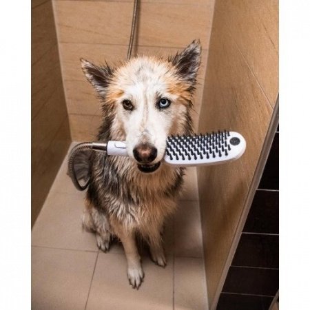 Душ для собак Hansgrohe DogShower 26640700 белый матовый