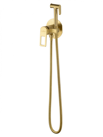 Смеситель с гигиеническим душем встраиваемый WONZON & WOGHAND FRAME, Брашированное золото (WW- 88829010-BG)
