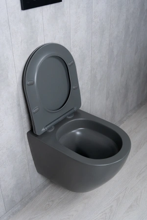 Унитаз подвесной безободковый GID Tr2122TF-Dgm темно-серый матовый, с сиденьем микролифт